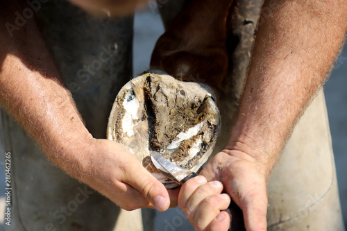 Closeup photo of hooves of a saddle horse on animal farm at rural animal farm