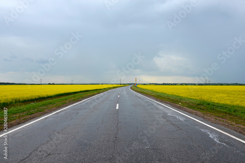 road, yellow field, perspective