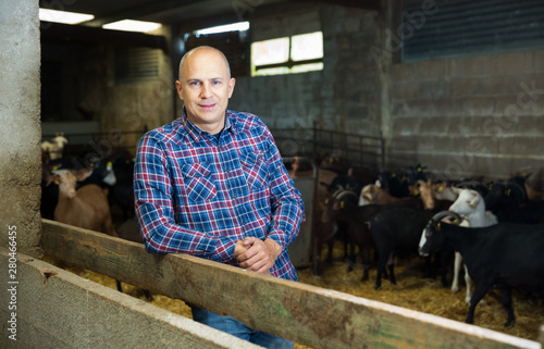 Confident man owner of dairy farm
