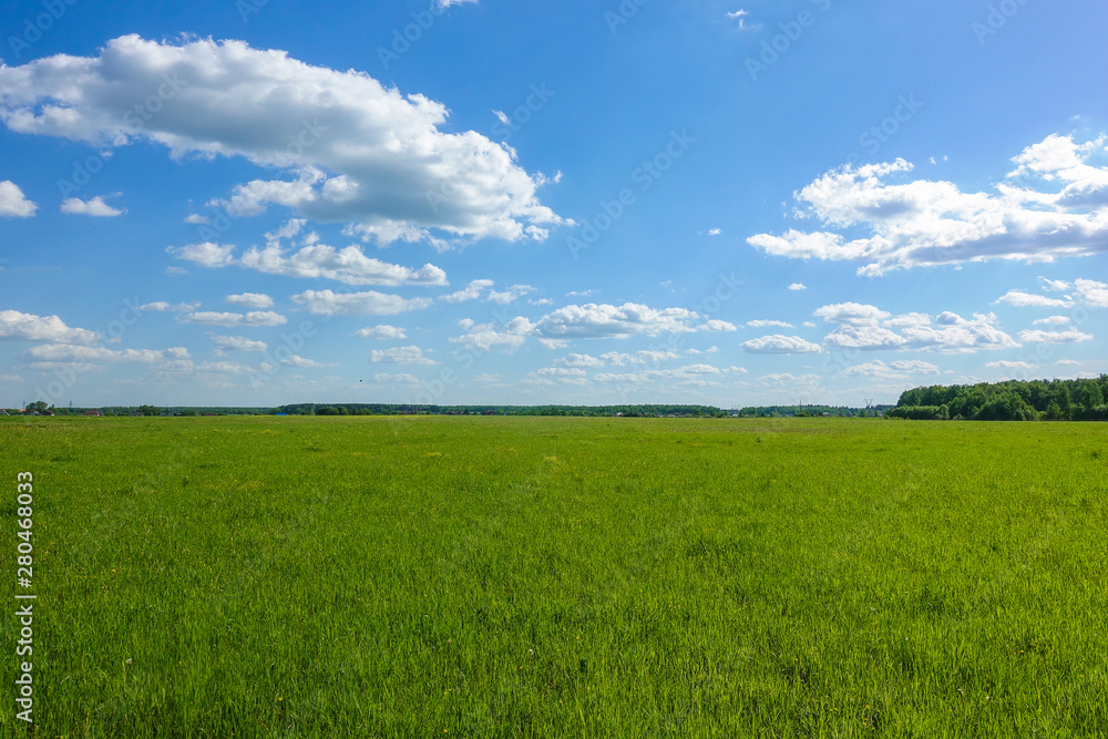 Beautiful landscape. Green grass field and blue sky with white clouds. Beautiful landscape. Green grass field and blue sky with white clouds.