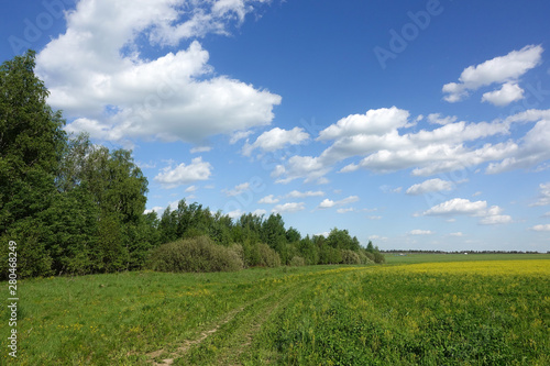 Blue sky and beautiful cloud. Plain landscape background for summer poster. The best view for holiday.
