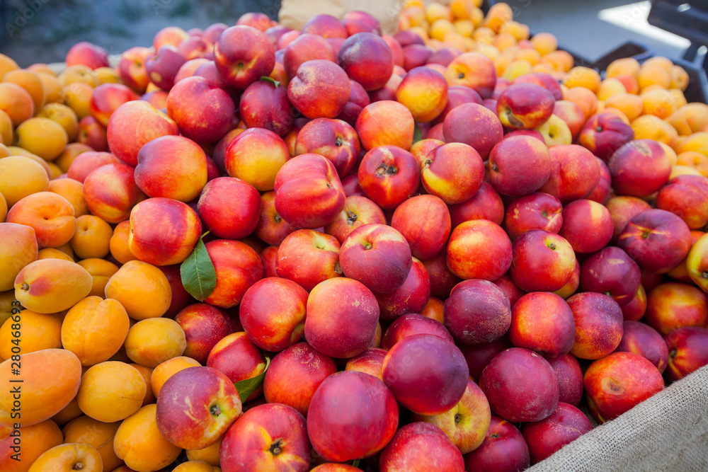 Fresh Nectarine And Apricot On Open Local Fruit Market Fresh Nectarine And Apricot On Open Local Fruit Market