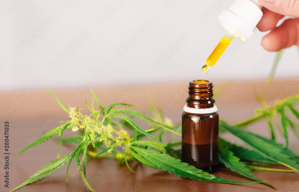 Wellness Hemp Cannabidiol, bottle of CBD oil on cannabis background. Premium marijuana products. Medical cannabis with extract CBD. A place for copy space