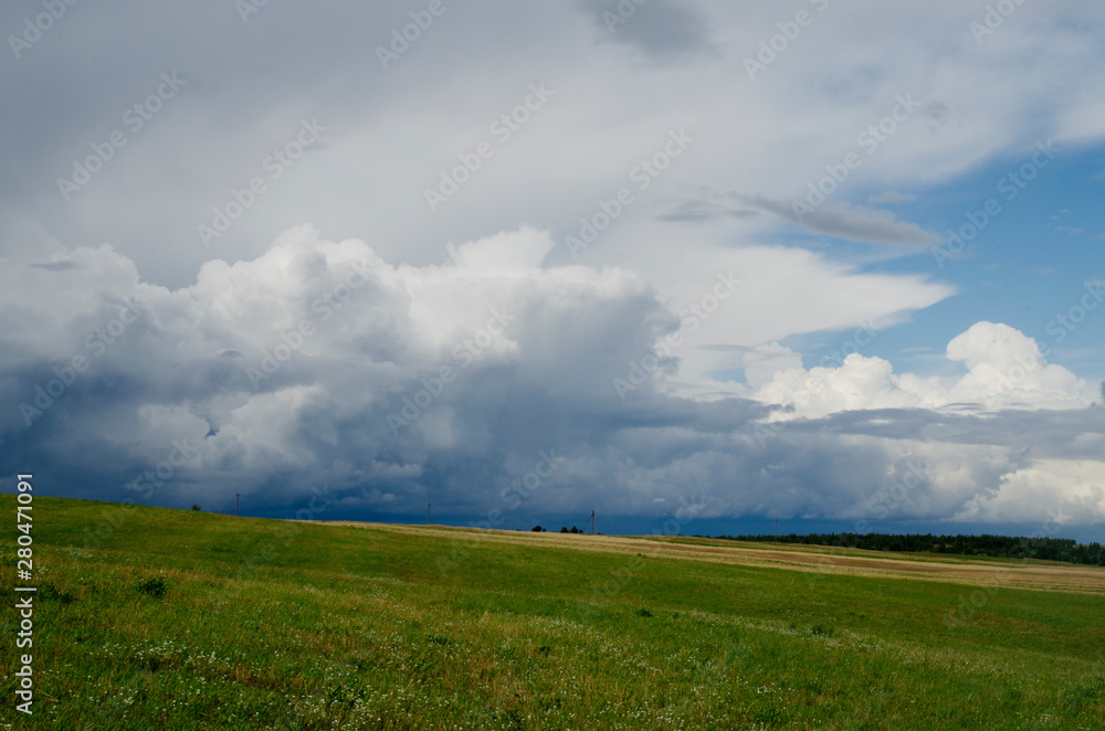 Yellow-green field on the background of blue clouds and white clouds. The concept of summer. Yellow-green field on the background of blue clouds and white clouds. The concept of summer.