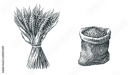 Malt in burlap bag and sheaf of wheat. Hand drawn engraving style.