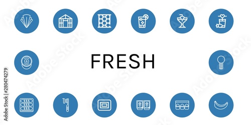 Set of fresh icons such as Salad, Greenhouse, Honeycomb, Cuba libre, Cocktail, Bread, Toothbrush, Soap, Sauces, Egg carton, Banana, Sour cream, Celery , fresh