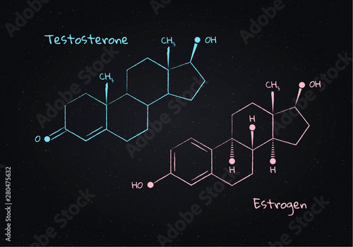 Vector testosterone and estrogene structure banner illustration set. Mullerian hormones . White chalk lines isolated on board background. Design element for pharma, education, medical.