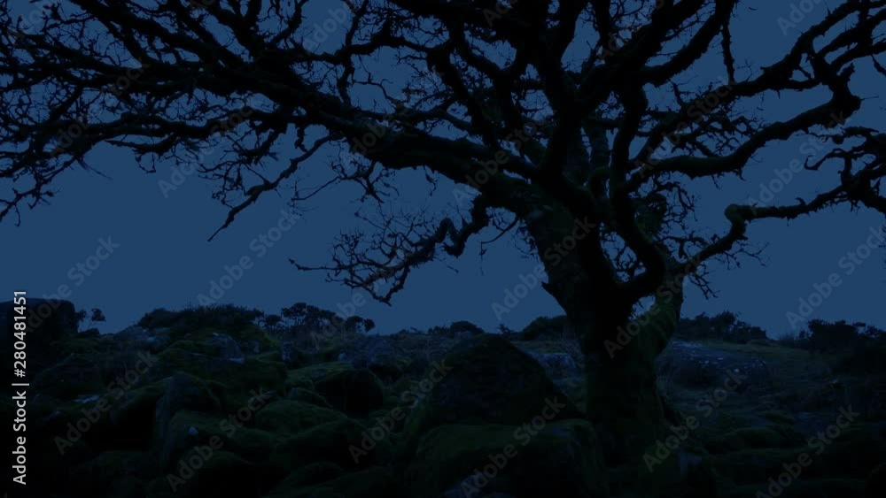 Tree On Barren Mountain Top At Dusk Tree On Barren Mountain Top At Dusk
