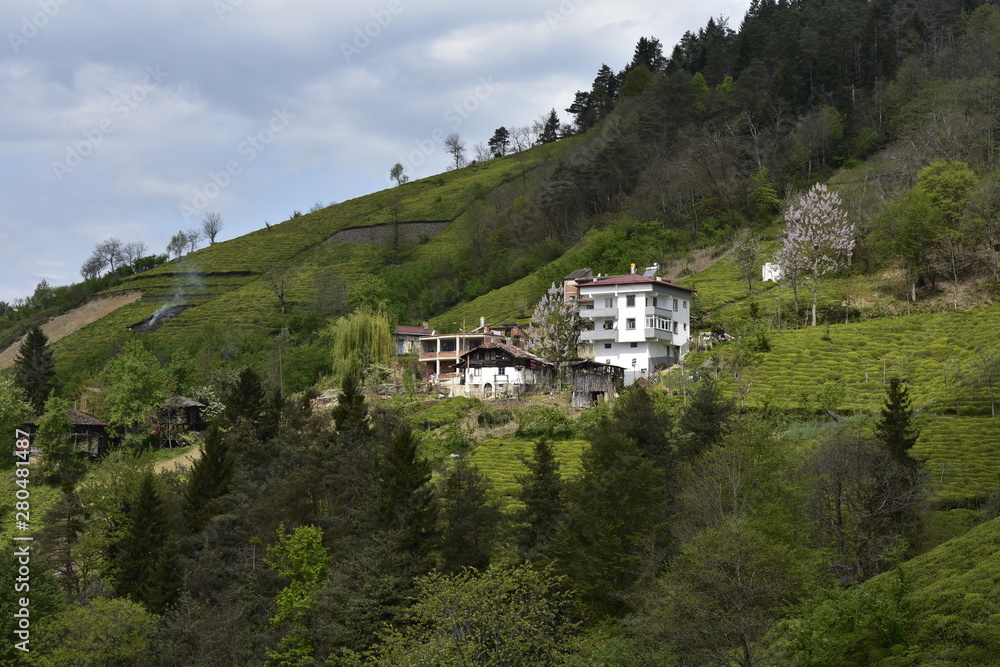 Obraz premium house in the mountains