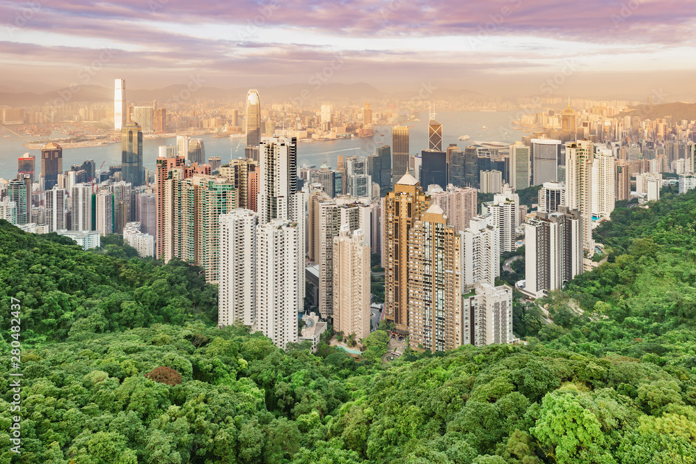Obraz premium View of the downtown of Hong Kong from Victoria Peak.
