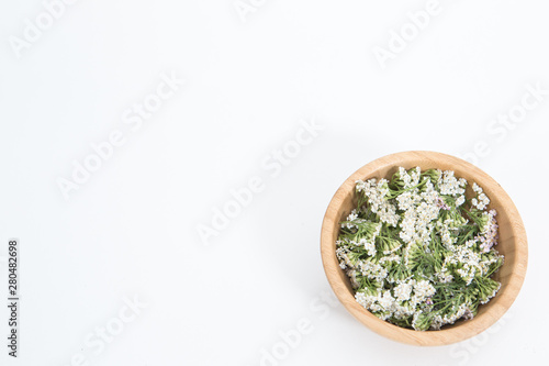 Fresh Yarrows flowers on the white background