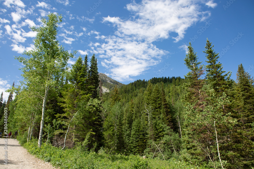 mountain green tree white cloud blue skyline beautiful scene mountain green tree white cloud blue skyline beautiful scene