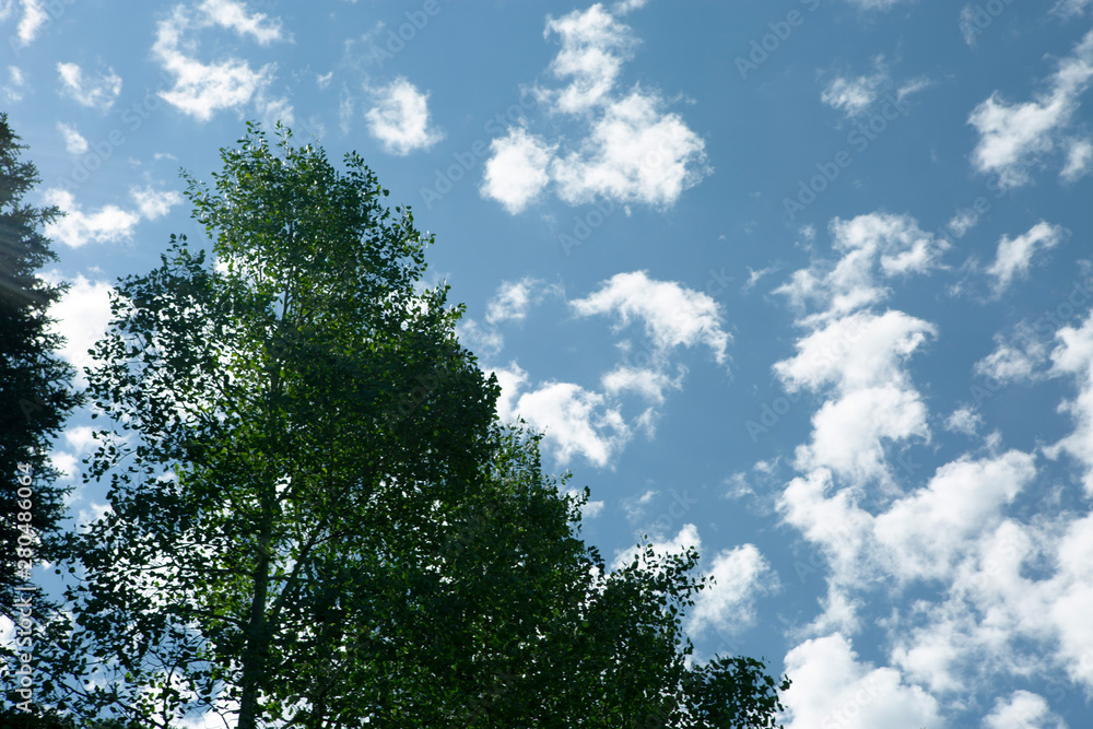 mountain green tree white cloud blue skyline beautiful scene mountain green tree white cloud blue skyline beautiful scene
