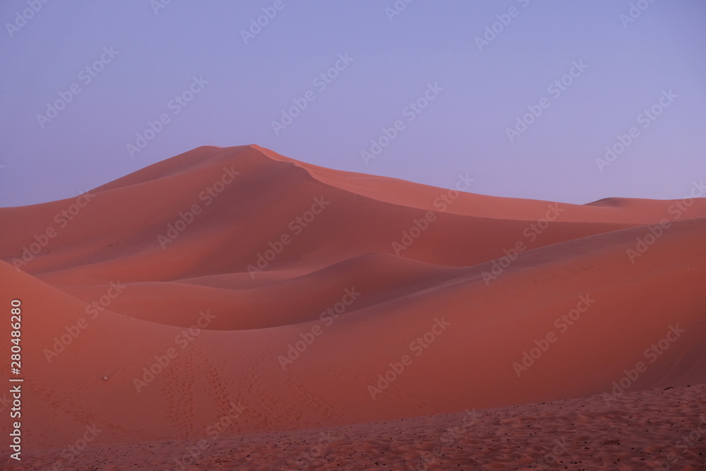 wild brown Sahara Desert sand dunes at sunset with purple blue sky. Saharan, sandy Merzouga in Morocco. simplicity