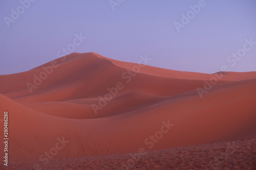 wild brown Sahara Desert sand dunes at sunset with purple blue sky. Saharan  sandy Merzouga in Morocco. simplicity