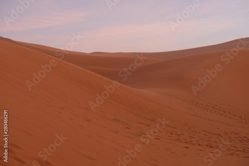 brown wide Sahara Desert sand dune slope at sunset evening. Pink cloud sky background. Saharan, sandy near Merzouga in Morocco © Robert