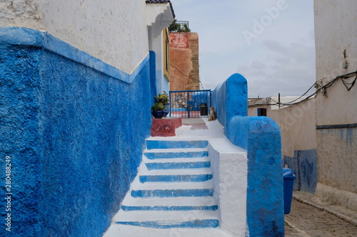 close up blue and white walls and stairs of chefchaouen in Morocco Africa. Stairway and street of famous colorful tourist city  © Robert