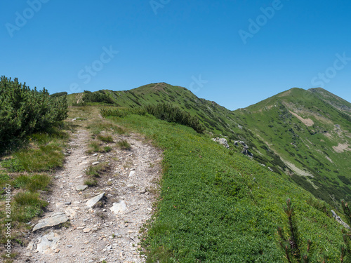 Beautiful mountain landscape of Western Tatra mountains or Rohace panorama. Sharp green grassy mountain peaks with dwarf scrub pine and hiking trail on ridge. Summer blue sky background