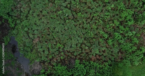 Wallpaper Mural Nice view from sky, old lake Torontodigital.ca