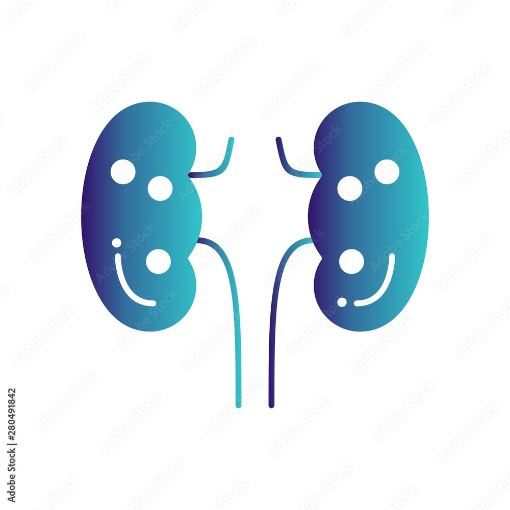 Fototapeta premium kidney icon for your project