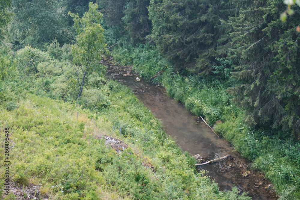 Fototapeta premium river in the gorge. stream between the mountains. forest stream.
