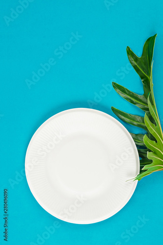 Biodegradable dish dispoable and green leave.