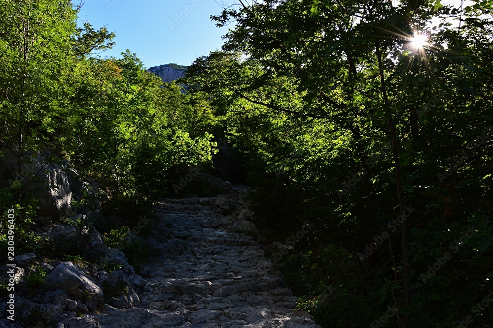 Stony mountain path hidden in dense foliage of shrubs and small trees, spring sun shining throug vegetaion. Location Paklenica Nationa Park, Croatia Stony mountain path hidden in dense foliage of shrubs and small trees, spring sun shining throug vegetaion. Location Paklenica Nationa Park, Croatia