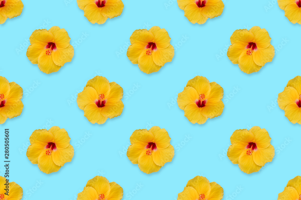 yellow hibiscus flower on pastel color background,  seamless pattern
