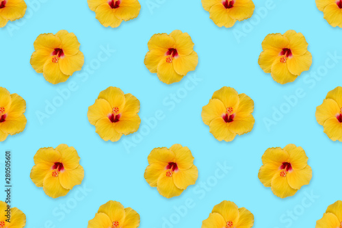 yellow hibiscus flower on pastel color background   seamless pattern