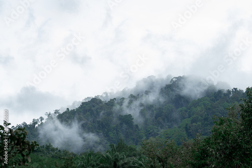 Fog on the mountain after heavy rain in Thailand.