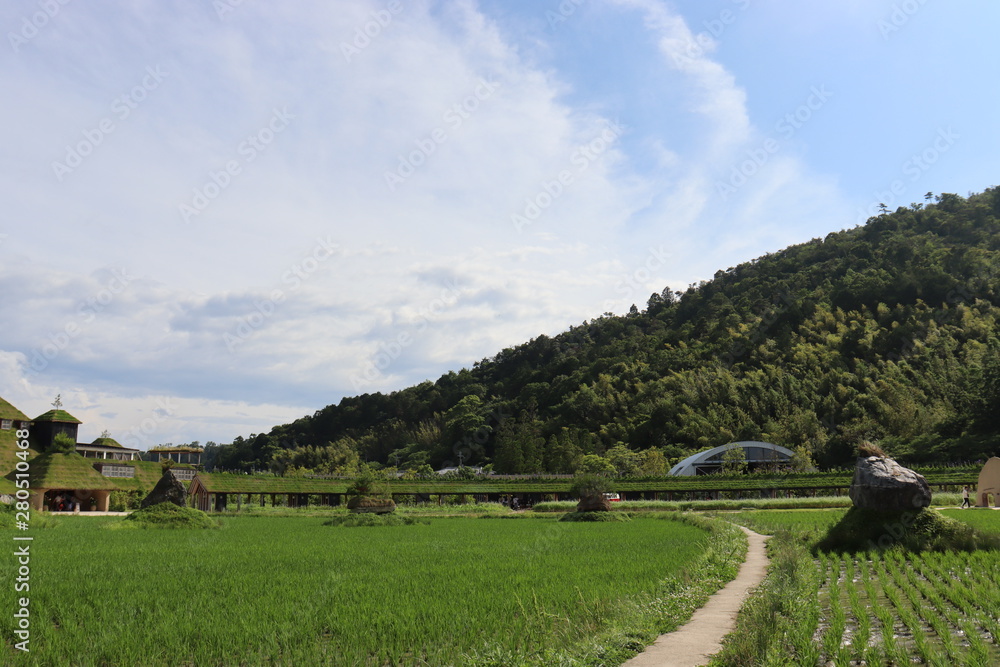 滋賀　風景