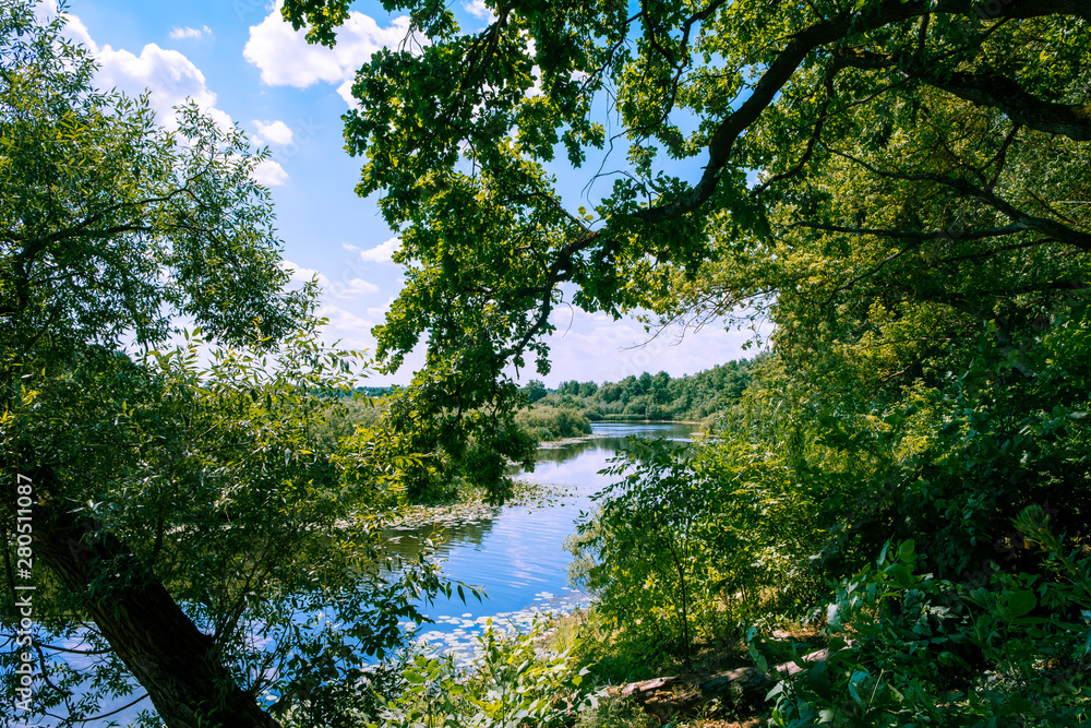 Scenic river Sozh among beautiful green trees on bright summer day in Belarus Scenic river Sozh among beautiful green trees on bright summer day in Belarus