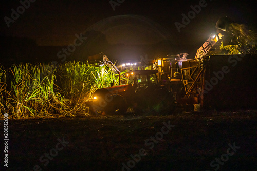 Sugar cane hasvest plantation night photo