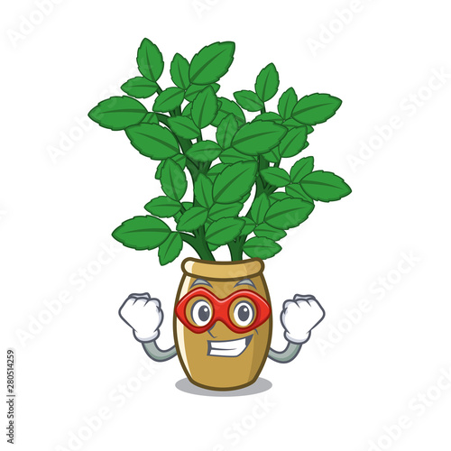 Super hero lemon balm in a mascot pot