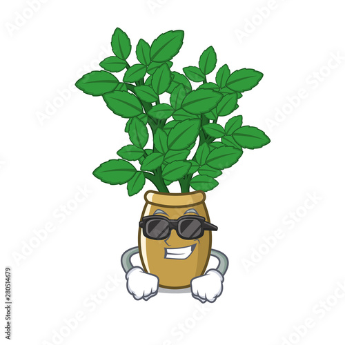 Super cool lemon balm in a mascot pot