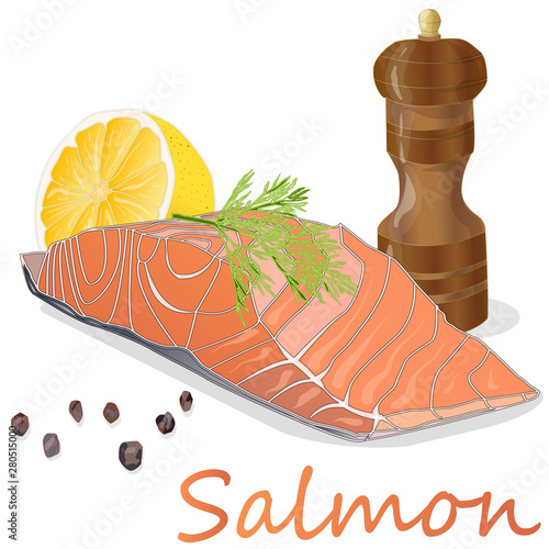 Raw salmon fillets with herbs on white background. Vector illustration