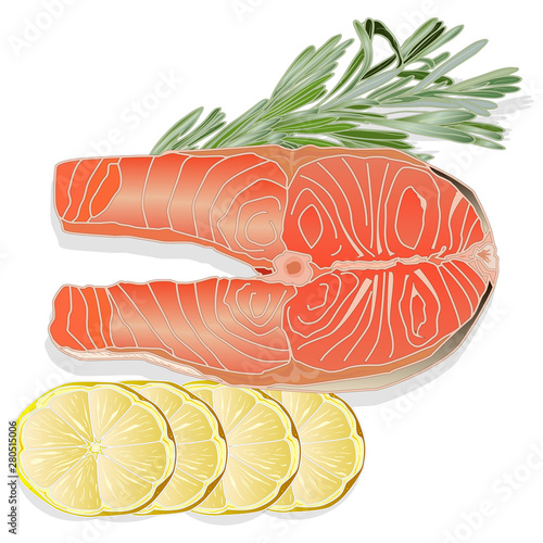 Raw salmon fillets with herbs on white background. Vector illustration