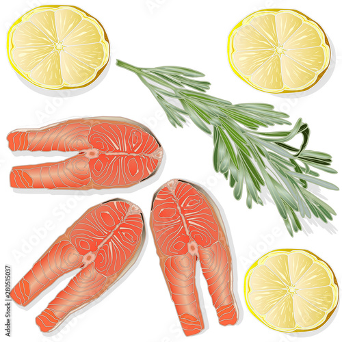 Raw salmon fillets with herbs on white background. Vector illustration