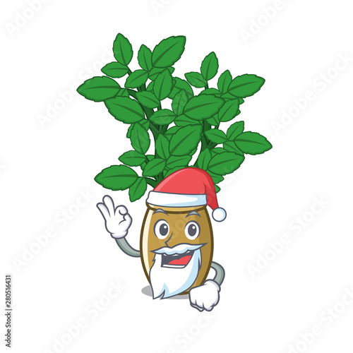 Santa lemon balm next the cartoon house