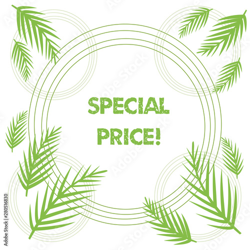 Conceptual hand writing showing Special Price. Concept meaning selling at a price that is lower than usual Discounted Tropical Leaves Overlapping Concentric Circles Isolated