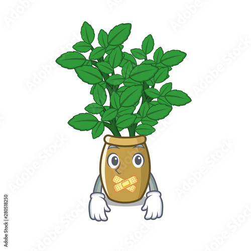 Silent lemon balm next the cartoon house