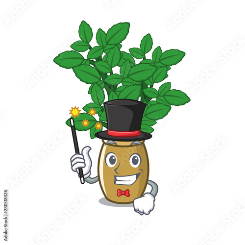 Magician lemon balm next the cartoon house