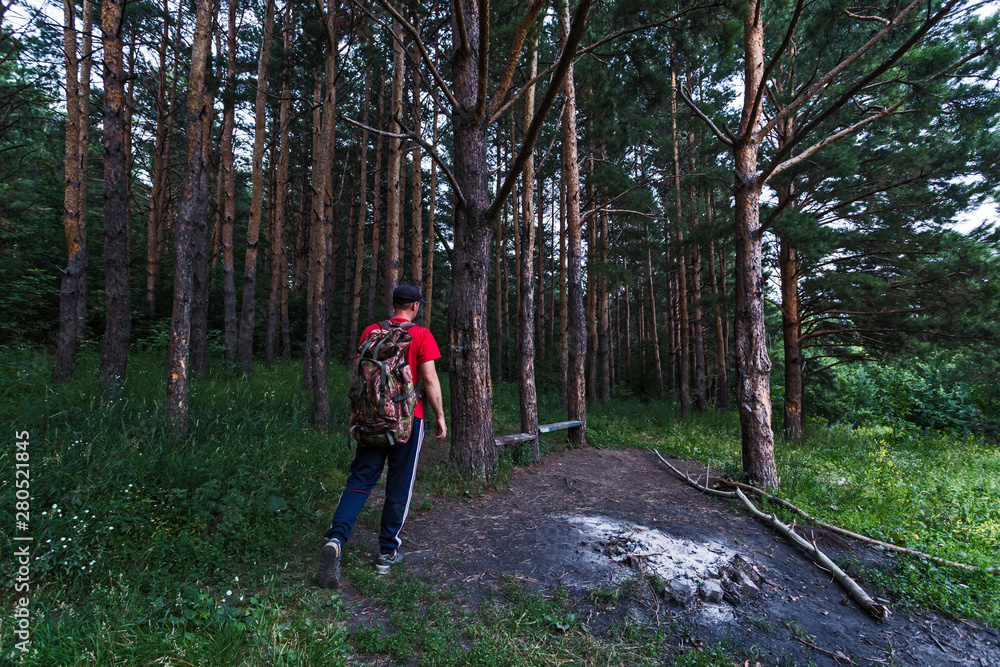 man walking in the woods