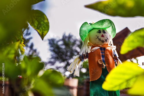 Fototapeta Naklejka Na Ścianę i Meble -  Scarecrow doll in the garden