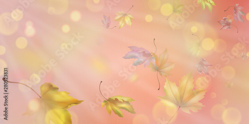 Falling Autumn Leaves