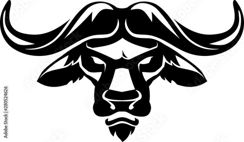 Buffalo Head Shadow