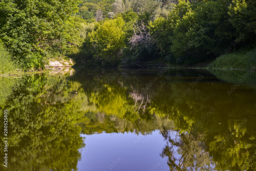 river in forest river in forest