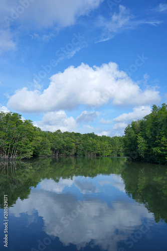 The river in the middle of the mangrove forest with blue sky and beautiful clouds at Riau islands Indonesia 