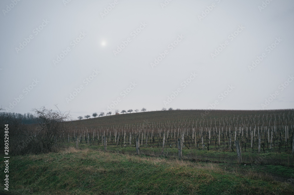 Fototapeta premium Winter ride to Rajhrad, rather to ride in the fields than in snowy dales of Moravian Karst