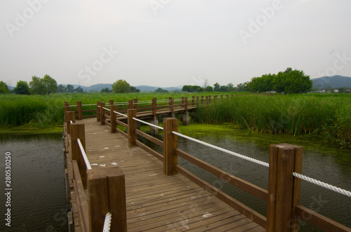 bridge on the swamp © Hakgoo